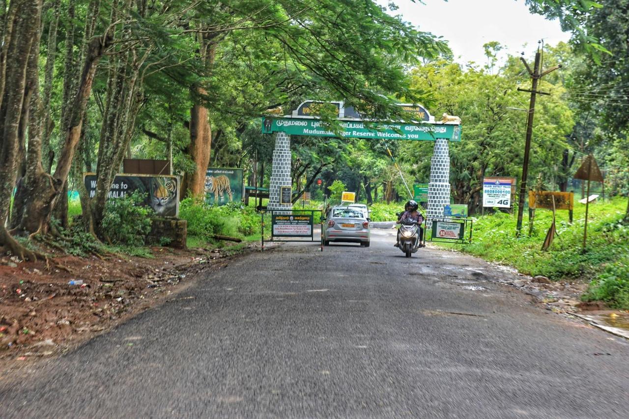 Savoy - Ihcl Seleqtions Otel Ooty Dış mekan fotoğraf