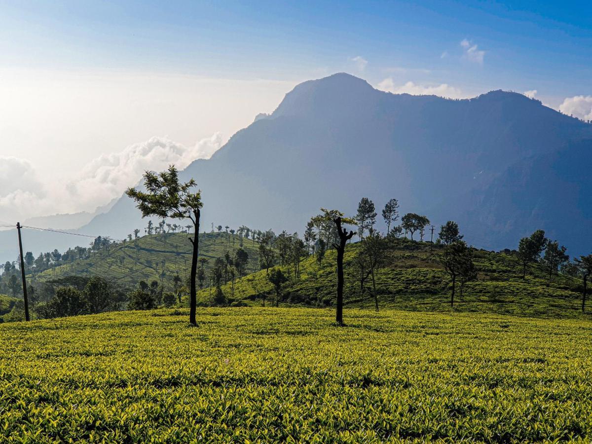 Savoy - Ihcl Seleqtions Otel Ooty Dış mekan fotoğraf