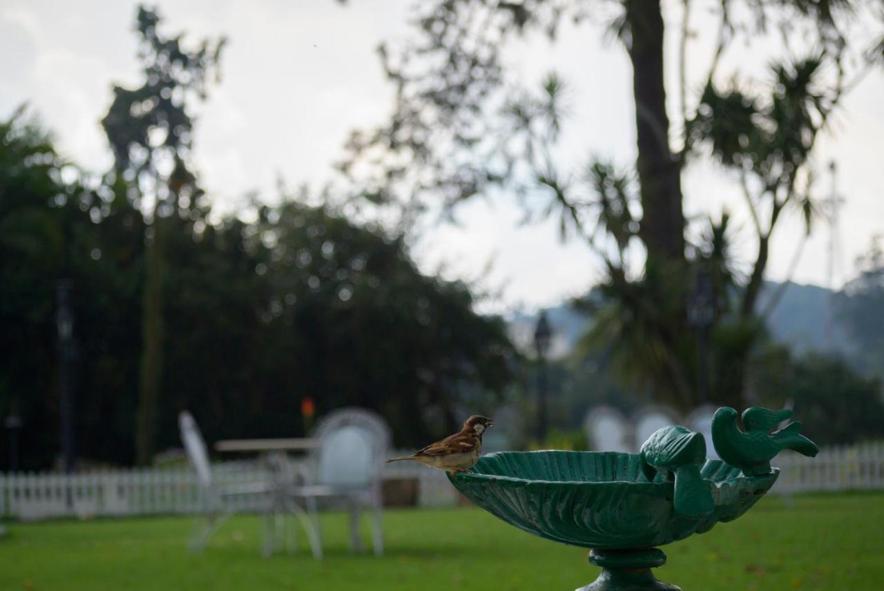 Savoy - Ihcl Seleqtions Otel Ooty Dış mekan fotoğraf