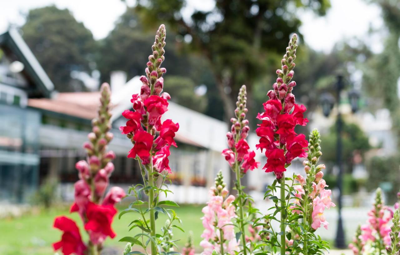 Savoy - Ihcl Seleqtions Otel Ooty Dış mekan fotoğraf
