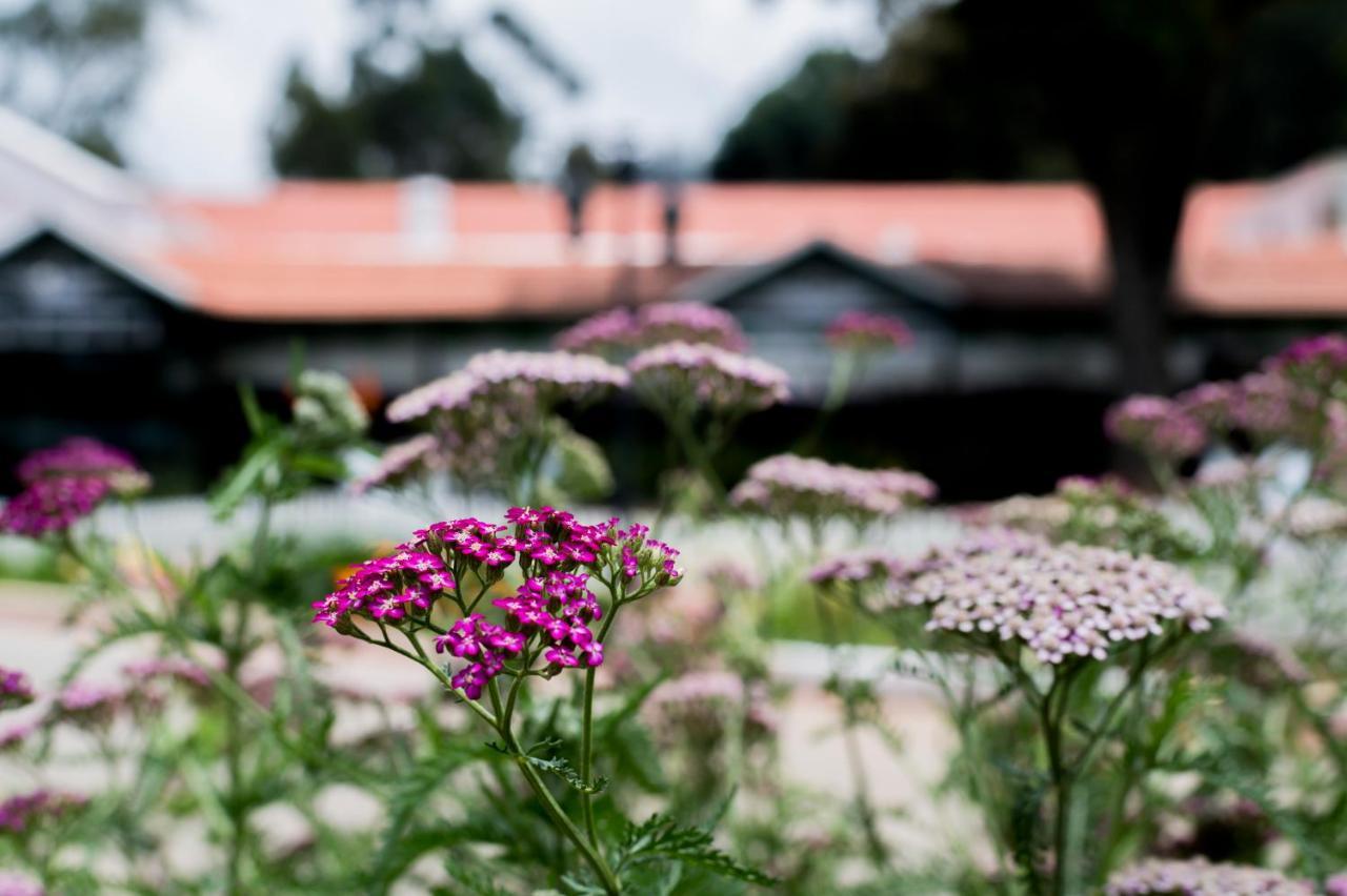 Savoy - Ihcl Seleqtions Otel Ooty Dış mekan fotoğraf